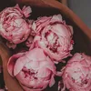 lalababy22_