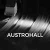 austrohallmusiclabel
