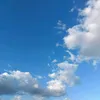 potaenaa098643