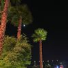 norr_13444