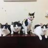 ayechanmoe26297