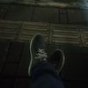 barata_64