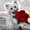 user2tgx0k6rs18