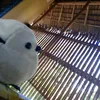 john.gabriel.soli