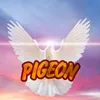pigeon599939