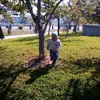 ni_mh12211