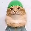 ramadhancat2025