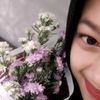 lilysja1
