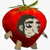 adam._.was_taken