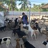 somjit_4196