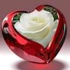 user7504039520585