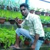 harichandrarajak