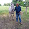 ulicemejia2
