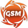 gsm_245