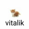 vitalikluv