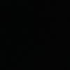liroy_1234.1