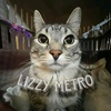 lizzymetro