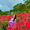 _thuyhoang305_
