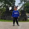 zamilatulmilama85
