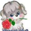 user5868476872668