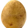 avocka228
