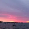olena_yatsyshina