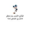souaddridi8636