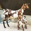 aziz.boubagra