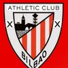 erlicuy20102010.0