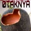 adinubareto