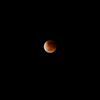 oranh_hidup