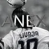 anex.amp2