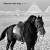 fa7ma16