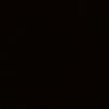 rullss_1228