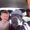 nffc_bananabowen