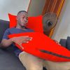 bassirou.sarr.big