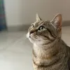 giovannamatarese9
