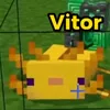 vitin.do.grau7