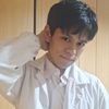fossil_cheng