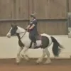 horseyvids13