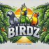 exoticbirdz