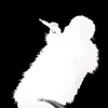 volo___
