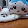 yumenosekai_0731