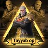 tayyabhussian33