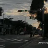 minhphucc55