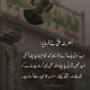 hasnainakhtar615