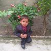 ameerhussain5603