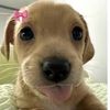 zuzu_lovesfood