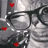 emilcix.qq