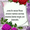 md.alomgir5058